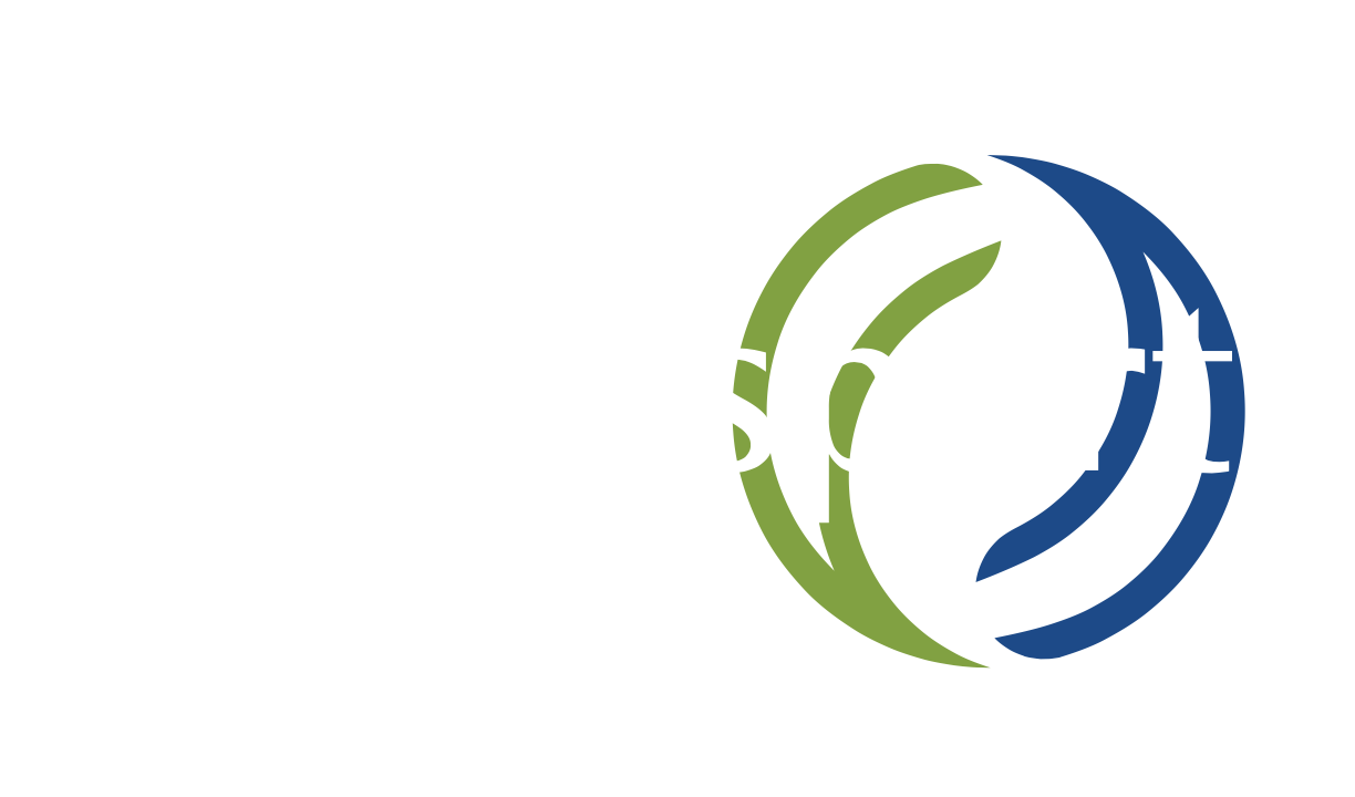 Multisport Synthétique Inc